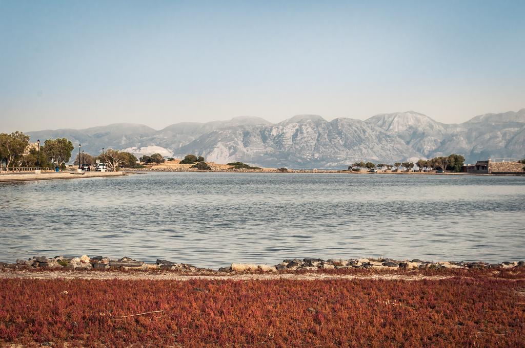 Elounda Olive Garden Apts & Studios Екстер'єр фото