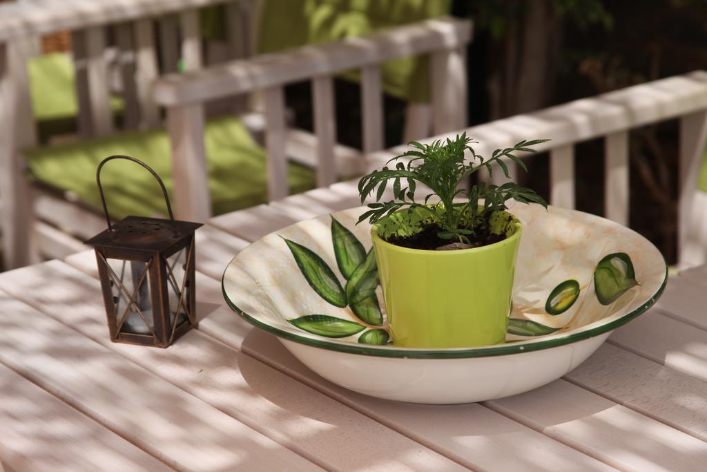Elounda Olive Garden Apts & Studios Екстер'єр фото